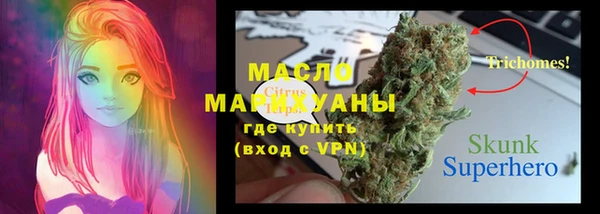 2c-b Горняк