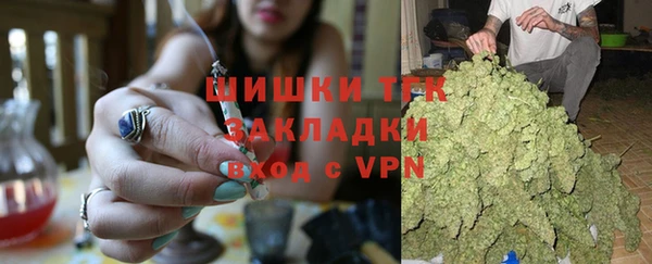 сатива Гусев