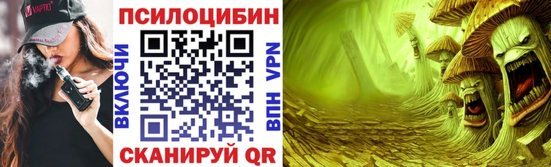 OMG ONION  Мценск  Псилоцибиновые грибы Psilocybine cubensis 