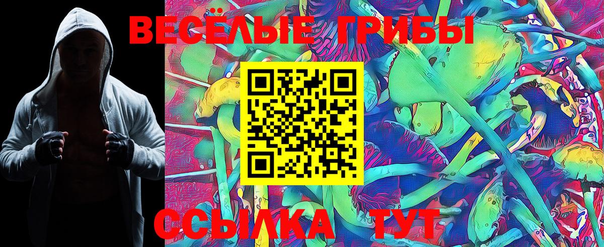 Галлюциногенные грибы Psilocybe Мценск